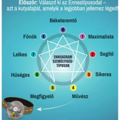 Spoločenská hra Its a Dogs Life obrázok 3