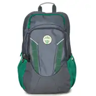 Veľký sivý školský batoh s logom Fradi