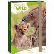 Ars Una: Icons of the Wild Lions A/4 box na zošity