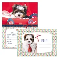 Ars Una: Pozvánka na psiu párty s obálkou, 10 ks