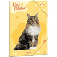 Ars Una: Roztomilé zvieratká – Nórska lesná mačka A/4 doska s gumičkou
