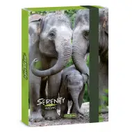 Ars Una: Serenity Slon box na zošity A5