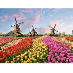 Diamantové puzzle: Holandské tulipánové pole diamantové maľovanie set 30x40cm