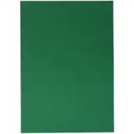Duch: Dekoratívny kartónový papier v zelenej farbe 70x100cm