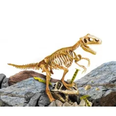 I'M Genius: Tyrannosaurus Rex dinosaurus archeologická súprava s nástrojmi obrázok 2