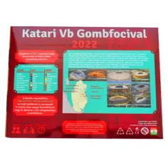 Katari VB Gombfutbal s loptou 2022 herná súprava obrázok 2