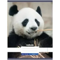 Nebulo: Panda hladký zošit A4 80-32
