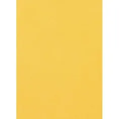 Spirit: Zlatá pena A/4 veľkosť 2mm