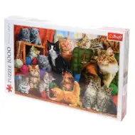 Stretávka mačiek 1000 dielne puzzle - Trefl