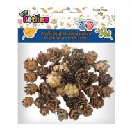 Sušené šišky 20 g