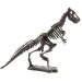 Archeologická sada s dinosaurami, rôzne druhy, 1 ks