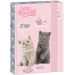 Ars Una: Roztomilé zvieratká - čajová párty, zošitový box s mačkami A5
