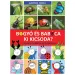 Bogyó a Babôčka: Kto je kto? Postavy zo seriálu v prírode – Pagony