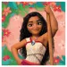 Disney+Princezné Vaiana 2-vrstvové servítky, balenie 20 ks