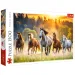 Divoké kone 1500-dielikové puzzle - Trefl