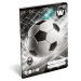ICO: Lizzysuli Top League FTW linkovaný zošit pre 2. ročník