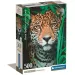 Jaguár HQC 500-dielny Compact puzzle - Clementoni