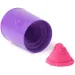 Kinetic Sand: Zmrzlinová krabička s ružovým pieskovým cestom - Spin Master