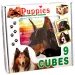 Kocky Psy 9ks