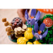 LEGO® Botanicals: Lesné huby (11505)