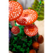 LEGO® Botanicals: Lesné huby (11505)