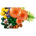 LEGO® Botanicals: Lesné huby (11505)