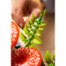 LEGO® Botanicals: Lesné huby (11505)