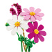 LEGO® Botanicals: Motýlie kvety (11514)