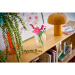 LEGO® Botanicals: Motýlie kvety (11514)