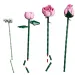 LEGO® Botanicals: Ružová kytica ruží (10374)