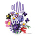 LEGO® Editions: kytica Olívie Rodrigo (11507)