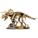 LEGO® Jurassic World™: Pozostatky dinosaurov: Triceratops (77985)