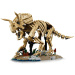LEGO® Jurassic World™: Pozostatky dinosaurov: Triceratops (77985)