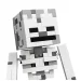 LEGO® Minecraft: Kostlivec (21594) obrázok 3