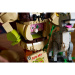 LEGO®: Shrek, Oslík a Kocúr v čižmách (72423)