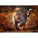 Leopard Premium Plus 1000-dieliková puzzle - Trefl
