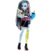 Monster High Frankie Stein bábika s doplnkami - Mattel