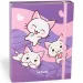 Nebulo: Box na zošit vo veľkosti A/5 s motívom mačičky