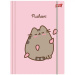 Pusheen ružové dosky s gumičkou, formát A4