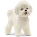 Schleich: Figúrka psa Bichon Frisé (13963)