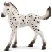 Schleich: Figúrka žriebäťa Knabstrupper (13890)