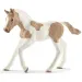 Schleich: Figúrka žriebäťa plemena Paint horse (13886)