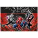 Spider-Man a jeho tím plastový obrus 120 x 180 cm