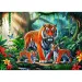 Tigre v džungli 200-dielne puzzle - Trefl