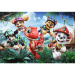 Tlapková patrola – Dobrodružstvo záchrany dinosaurov, 60-dielne puzzle - Trefl