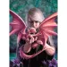 Anne Stokes: Dragonkin 1000ks puzzle - Clementoni