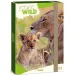 Ars Una: Icons of the Wild Lions A/4 box na zošity