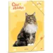 Ars Una: Roztomilé zvieratká – Nórska lesná mačka A/4 doska s gumičkou