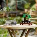 LEGO® Creator: Bonsai strom (10281) obrázok 5