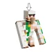 LEGO® Minecraft: Kuracie zúrenie, útok na púšti (21592) obrázok 5